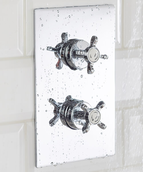 Additional image for 51132 Bristan - 1901 SHWR PK